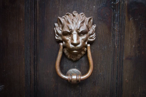 Heurtoir de porte en bronze patiné représentant une tête de lion aux détails sculptés, monté sur une porte en bois massif aux planches verticales